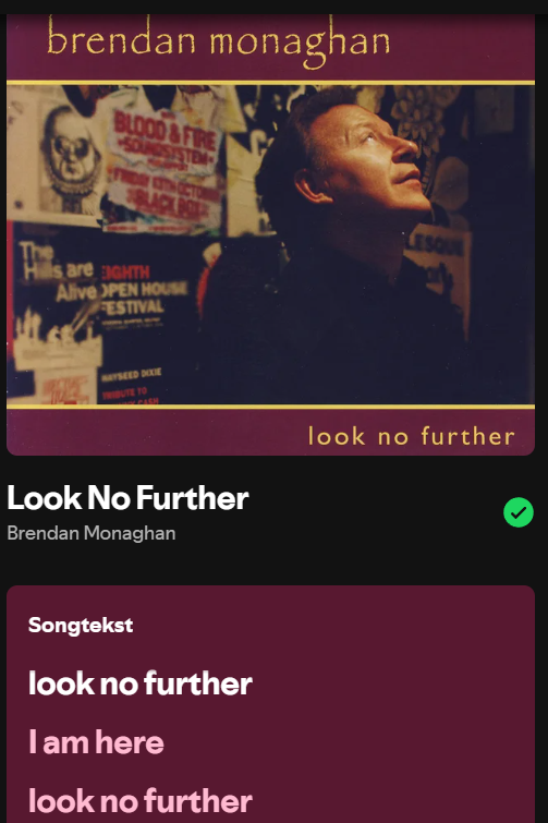 Songtekst van Look No Further van Brendan Monaghan op Spotify